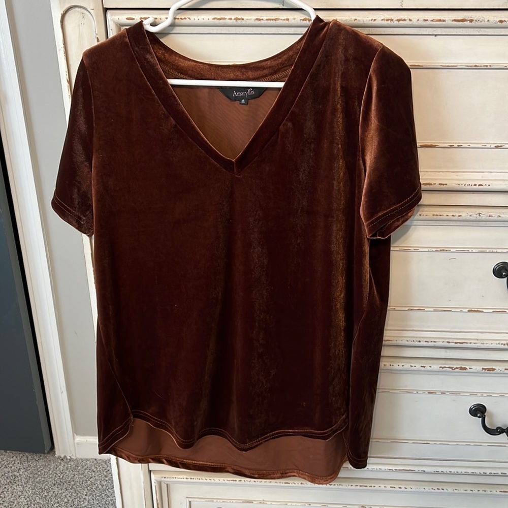Velvet-Style V-Neck Blouse